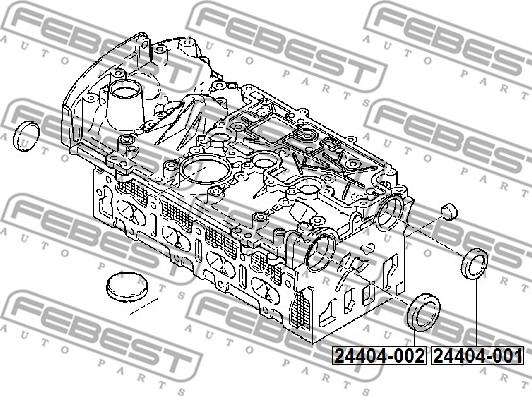 Febest 24404-002 - Zatyczka, osie dźwigienek zaworowych - otwór montażowy parts5.com