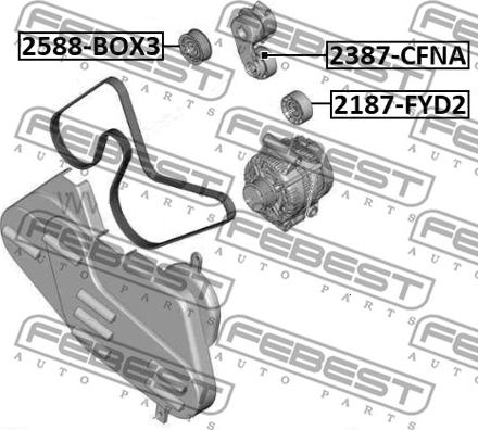 Febest 2588-BOX3 - Umlenk / Führungsrolle, Keilrippenriemen parts5.com