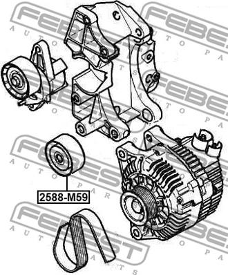 Febest 2588-M59 - Rola ghidare / conducere, curea transmisie parts5.com