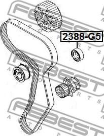 Febest 2388-G5 - Rola ghidare / conducere, curea distributie parts5.com