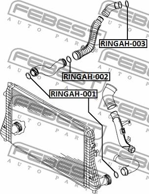 Febest RINGAH-002 - Conta, şarj havası hortumu parts5.com