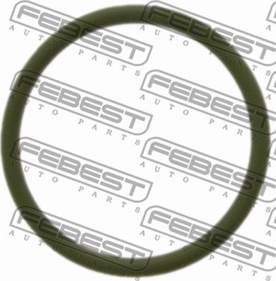 Febest RINGAH-B5 - Τσιμούχα, αγωγός βαλβίδας AGR parts5.com