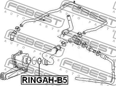 Febest RINGAH-B5 - Τσιμούχα, αγωγός βαλβίδας AGR parts5.com