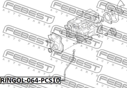 Febest RINGOL-064-PCS10 - Tiiviste, öljynmittaustikku parts5.com