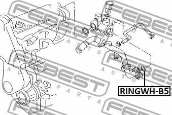 Febest RINGWH-B5 - Tesnenie príruby chladenia parts5.com