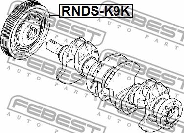 Febest RNDS-K9K - Fulie curea, arbore cotit parts5.com