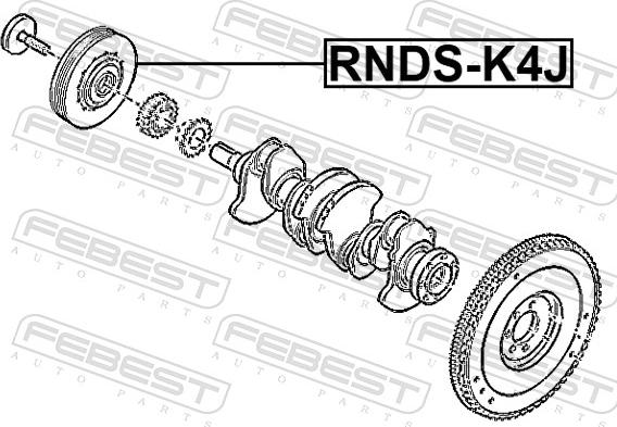 Febest RNDS-K4J - Remenica, radilica parts5.com