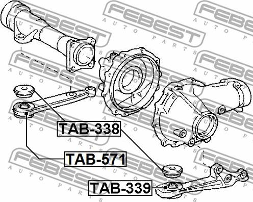 Febest TAB-571 - Yataklama, diferansiyel parts5.com