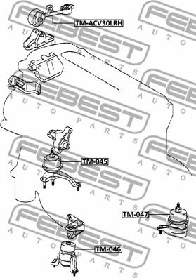 Febest TM-047 - Подушка, опора, подвеска двигателя parts5.com