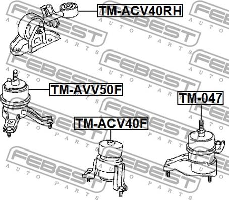 Febest TM-AVV50F - Soporte, motor parts5.com