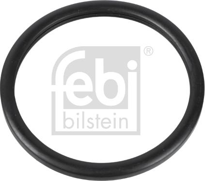 Febi Bilstein 10255 - Tömítés, termosztát parts5.com