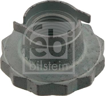 Febi Bilstein 30028 - Nut, stub axle parts5.com