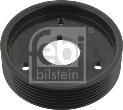 Febi Bilstein 29501 - Τροχαλία, αντλία υποβοήθησης parts5.com