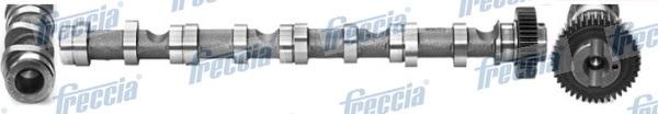 Freccia CM05-2195 - Vačkový hriadeľ parts5.com