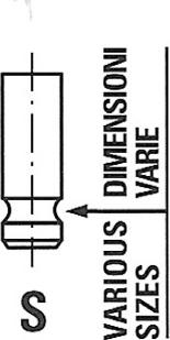 Freccia R6138/S - Sesalni ventil parts5.com