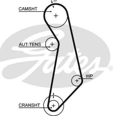 Gates 5489XS - Timing Belt parts5.com