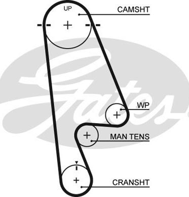 Gates 5480XS - Ангренажен ремък parts5.com