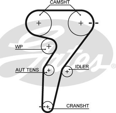 Gates 5429XS - Οδοντωτός ιμάντας parts5.com