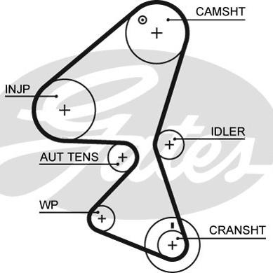 Gates 5598XS - Timing Belt parts5.com