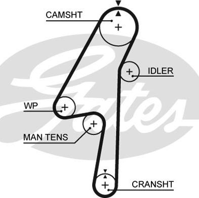 Gates 5580XS - Curea de distributie parts5.com