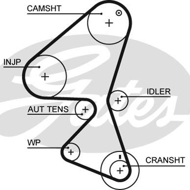 Gates 5589XS - Timing Belt parts5.com