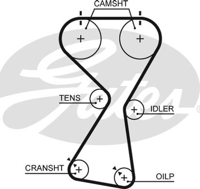 Gates 5534XS - Timing Belt parts5.com