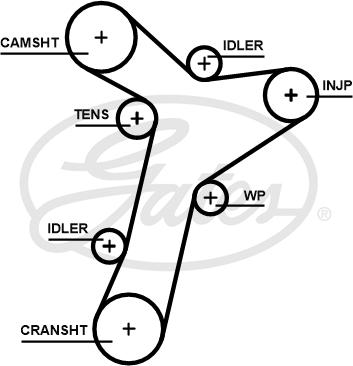 Gates 5695XS - Timing Belt parts5.com