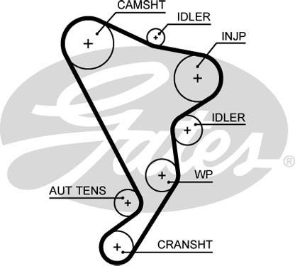 Gates 5661XS - Timing Belt parts5.com