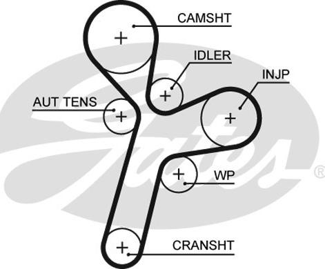 Gates 5634XS - Timing Belt parts5.com