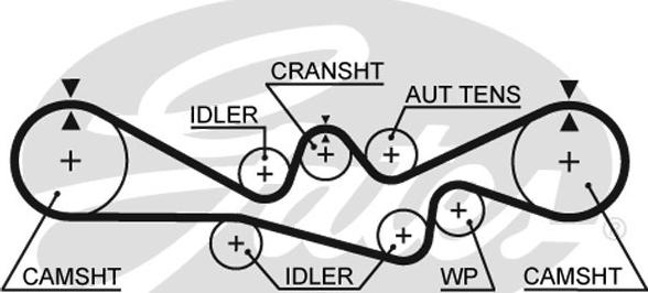 Gates 5537XS - Οδοντωτός ιμάντας parts5.com