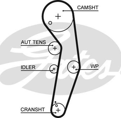 Gates K055569XS - Set curea de distributie parts5.com