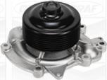 Graf PA993 - Water Pump parts5.com