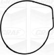 Graf PA1051 - Water Pump parts5.com