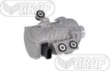 Graf PA1369 - Bomba de agua parts5.com