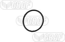 Graf PA765 - Pompa apa parts5.com