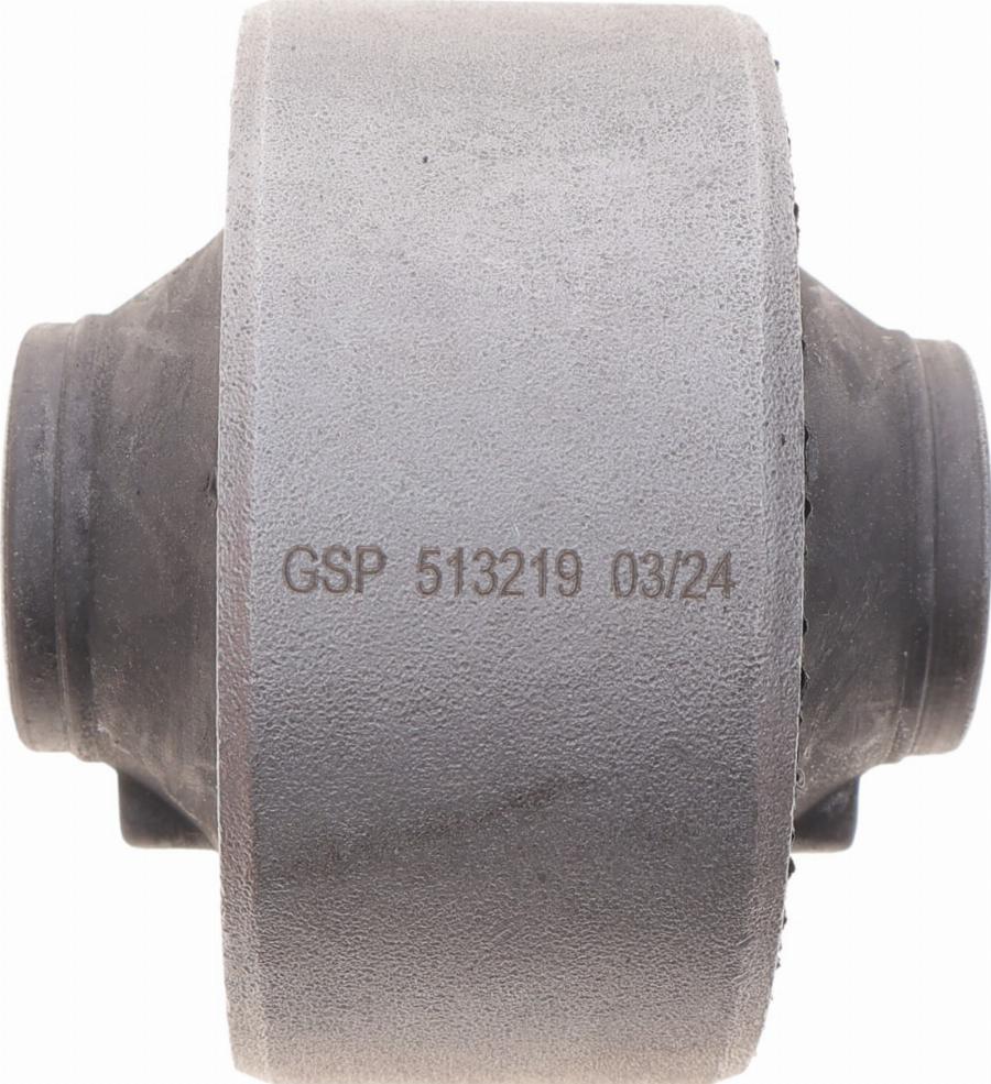 GSP 513219 - Suspensión, Brazo oscilante parts5.com