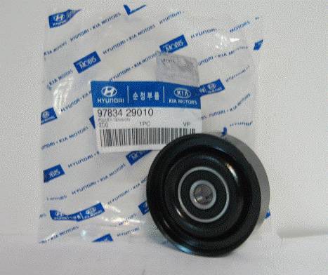 Hyundai 97834-29010 - Τροχαλία παρέκκλισης, ιμάντας poly-V parts5.com