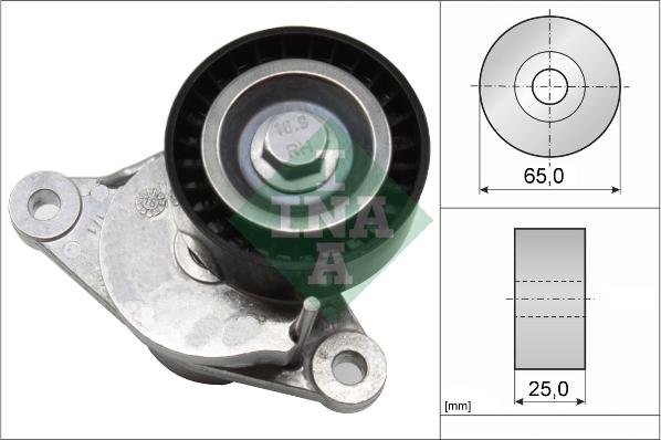 INA 534 0655 10 - Intinzator curea, curea distributie parts5.com