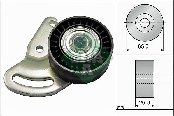 INA 531 0591 30 - Szíjtárcsa / vezetőgörgő, hosszbordás szíj parts5.com