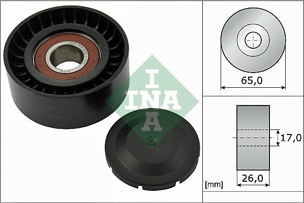 INA 532 0557 10 - Τροχαλία παρέκκλισης, ιμάντας poly-V parts5.com