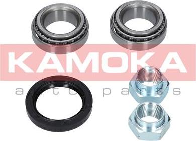 Kamoka 5600010 - Комплект подшипника ступицы колеса parts5.com