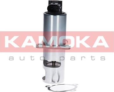 Kamoka 19010 - EGR-klapp parts5.com