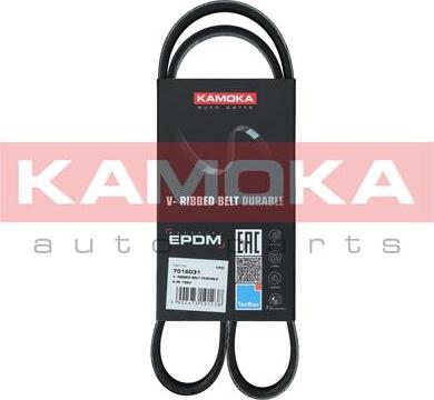 Kamoka 7016031 - Curea transmisie cu caneluri parts5.com