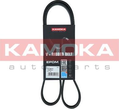 Kamoka 7016077 - Pasek klinowy wielorowkowy parts5.com