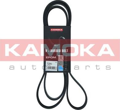 Kamoka 7016201 - Rebrasti jermen parts5.com