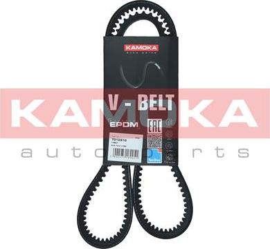 Kamoka 7010310 - V-kayışı parts5.com