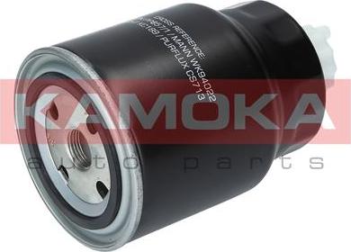 Kamoka F313501 - Filtru combustibil parts5.com