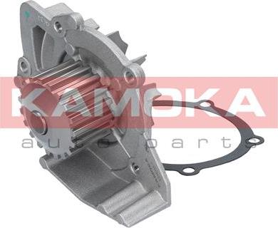 Kamoka T0091 - Bomba de agua parts5.com