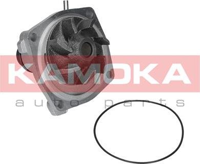 Kamoka T0006 - Bomba de agua parts5.com