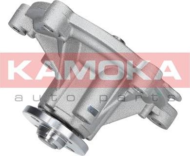 Kamoka T0194 - Water Pump parts5.com